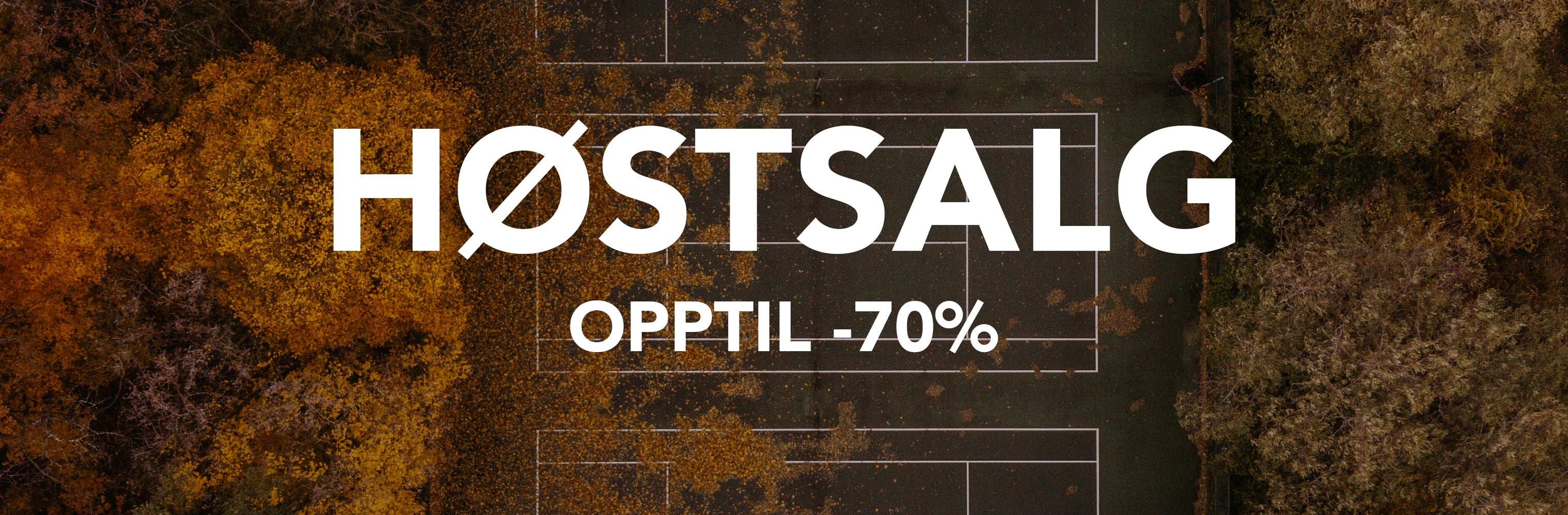 Hostsalg banner pc final