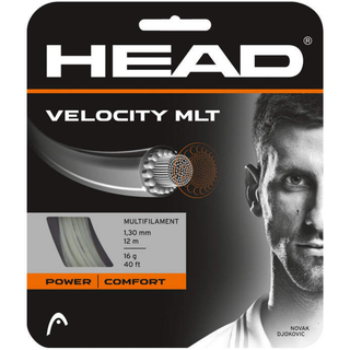 Head Velocity MLT 12M