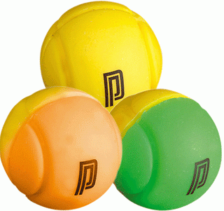 Pro's Pro Tennis Ball Demper 60-Pack